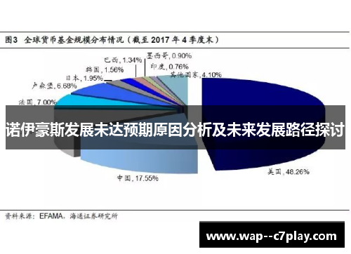 诺伊豪斯发展未达预期原因分析及未来发展路径探讨