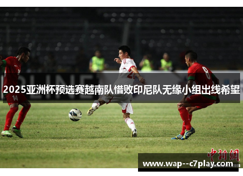 2025亚洲杯预选赛越南队惜败印尼队无缘小组出线希望 2025亚洲杯预选赛越南队惜败印尼队无缘小组出线希望